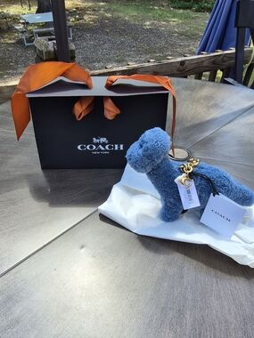 Coach Rexy 10th Birthday Buddy Dinosaur Bag Charm In Shearling - CEG50